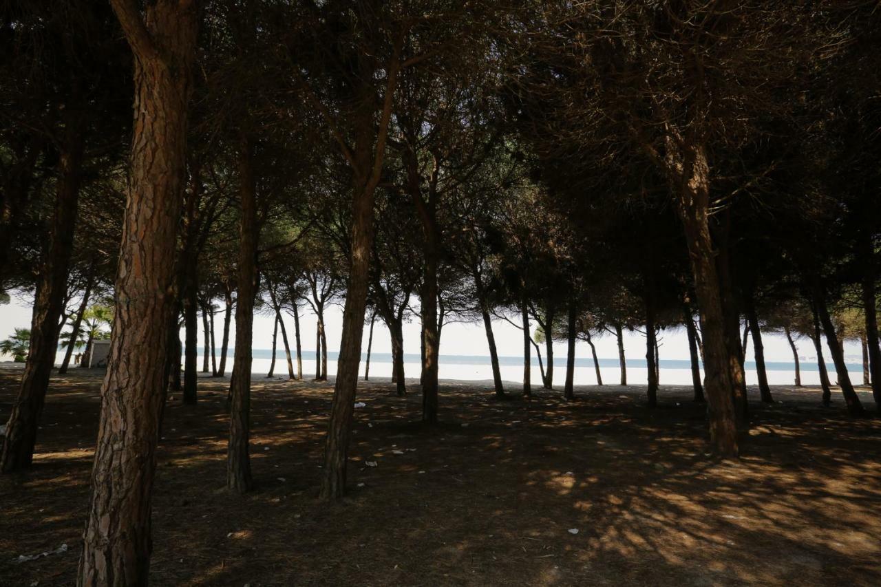 Pine-Tree Apt W/ Private Garden 50 M From The Sea Голем Екстериор снимка